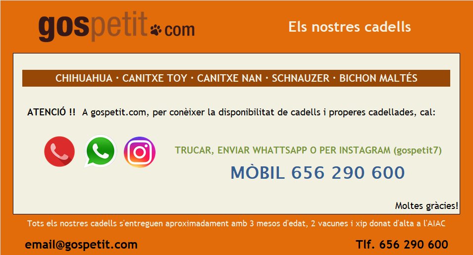 gospetit.com · gossets disponibles